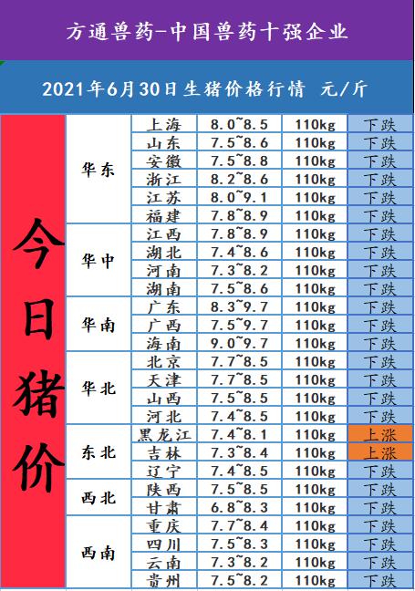 最近猪价上涨是什么原因？（今天河南生猪价格涨跌）