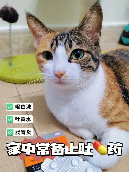 弱弱地问，史克肠虫清能给猫吃吗？（阿见养猫）