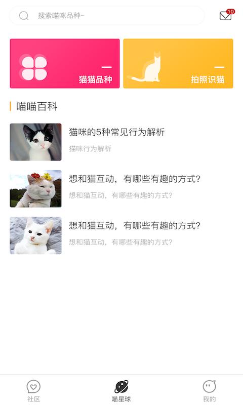 喵星app干嘛的？（新手养猫app）