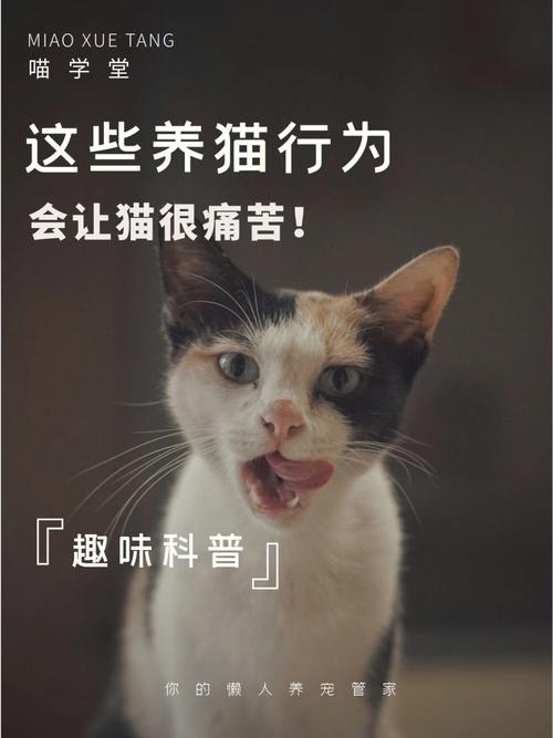 哪些养猫行为让猫痛苦？（养猫很难过）