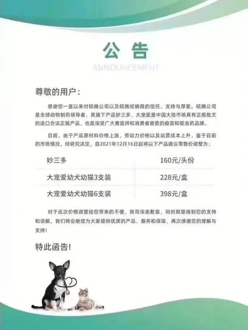 水泥房怎么养猫？（养猫群公告）