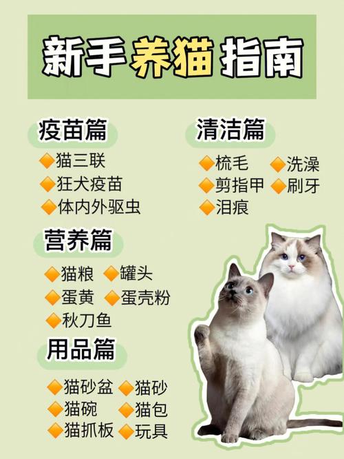 新手养猫必备知识？（上帝也养猫）