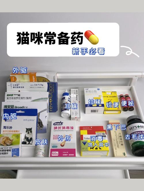 第一次养猫，需要在家中必备什么药品？（养猫用药指南）