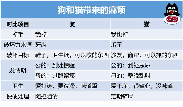 养狗和猫区别？（养狗和养猫的区别）