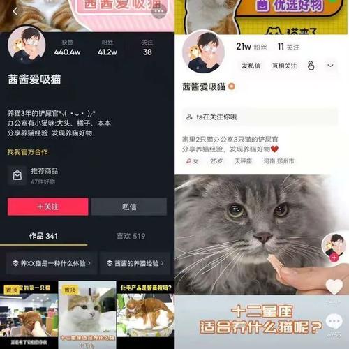 养猫爱好者快手怎么起名？（娜娜想养猫）