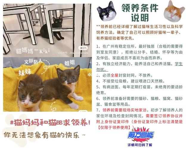 广州市流浪猫管理条例？（收养猫广州）