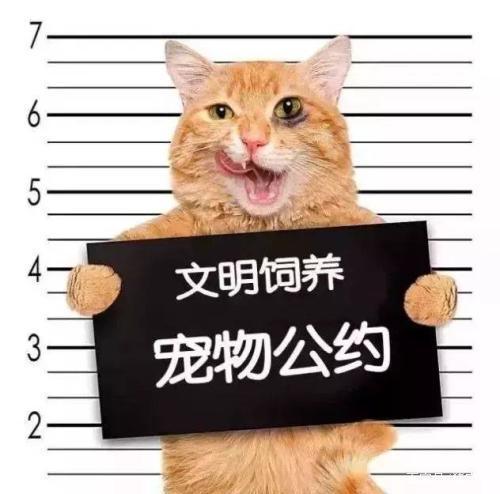 小区养猫有什么规定？（对文明养猫）