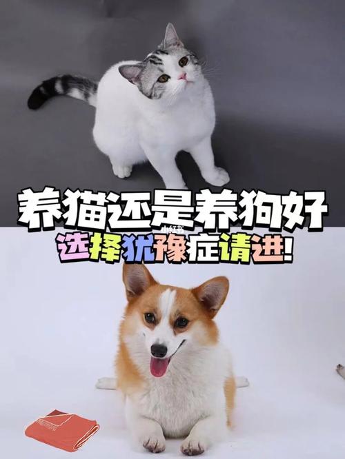 单身大龄女养猫还是养狗好？（养猫超过狗）