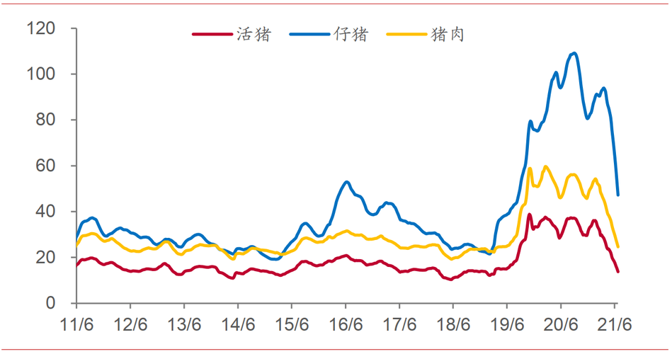 今日猪价最新预测走势一个月？（生猪最近走势）