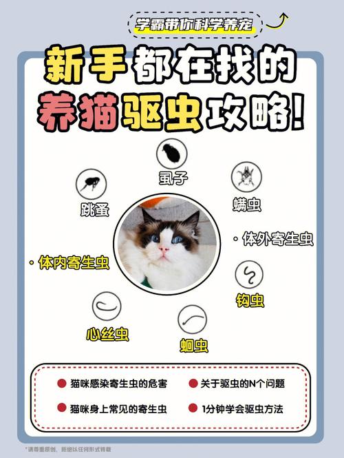 新手养猫攻略？（新手养猫驱虫）