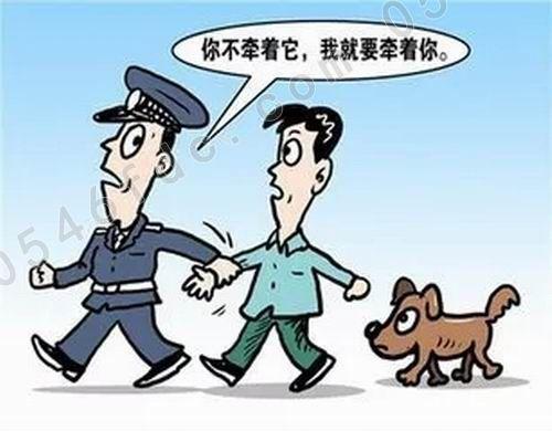 什么是非法养狗？（非法养狗）