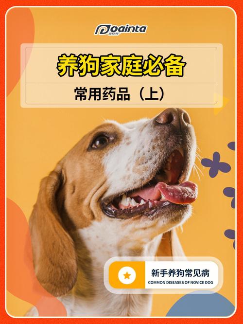 养大型犬必备用品？（养狗必备药品）