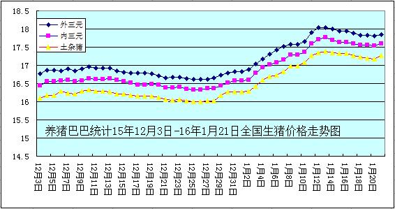 二三年11月份标猪什么价格？（生猪的价格预测）