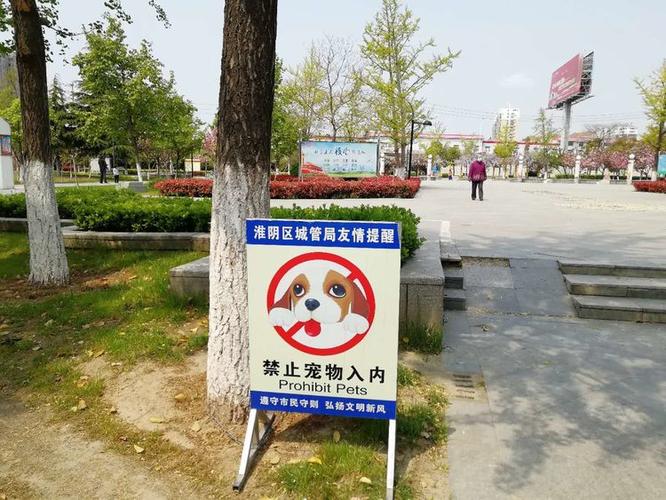 禁止养犬区养犬由哪个部门管？（养狗的部门）