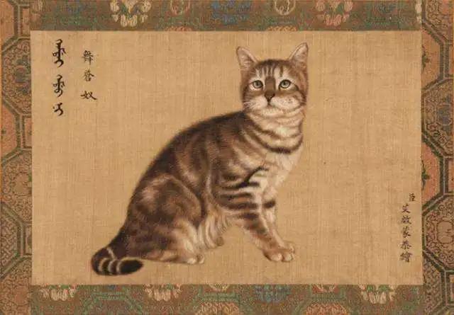 在宋代养一只猫需要什么？（宋朝领养猫）