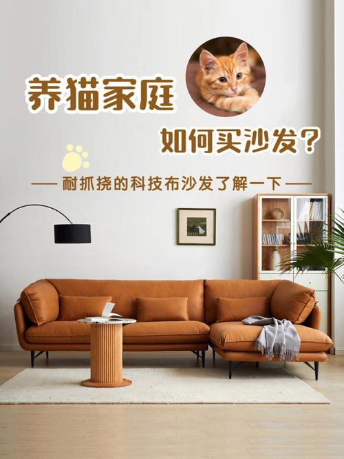 养猫的家庭适合买什么类型的沙发啊？（科技布养猫）