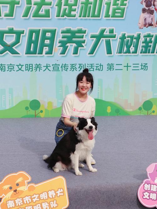 南京市犬只划分标准？（南京养狗基地）