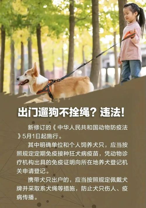 郑州养犬最新规定？（郑州养狗基地）