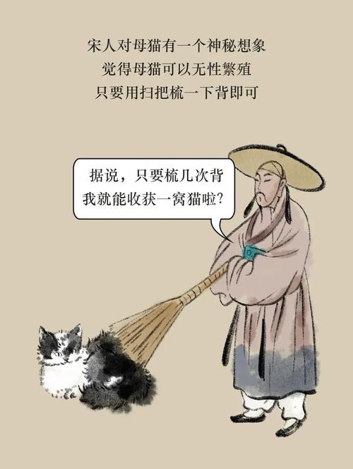 古代养猫的十大禁忌？（古人说养猫）