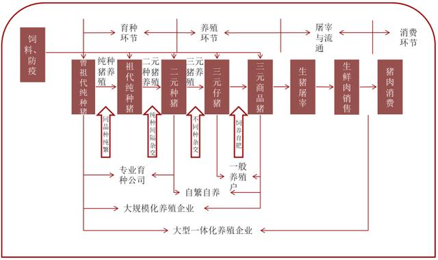 养殖带动的产业链有哪些？（生猪养产业链）