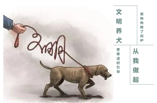 养侄不如养犬马半生努力半身寒？（养孩子不如养狗）