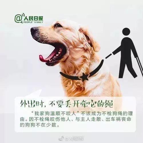 遛狗不拴绳怎么举报？（榆林养狗）