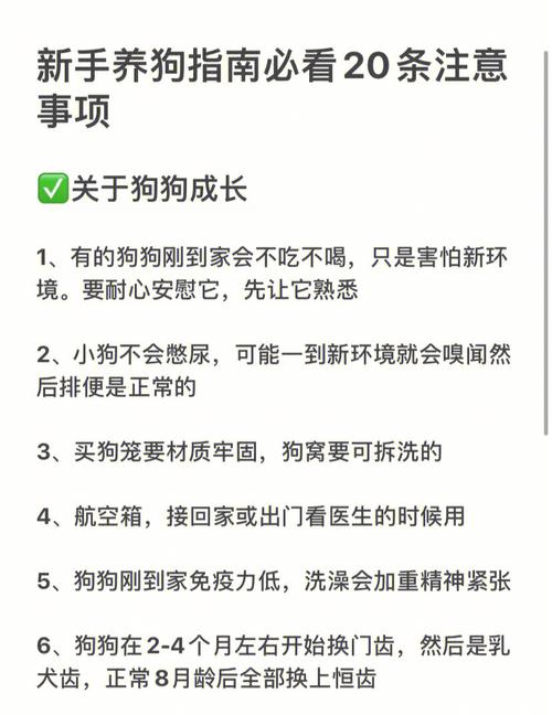 养狗需要注意哪些事项?（养狗事项）