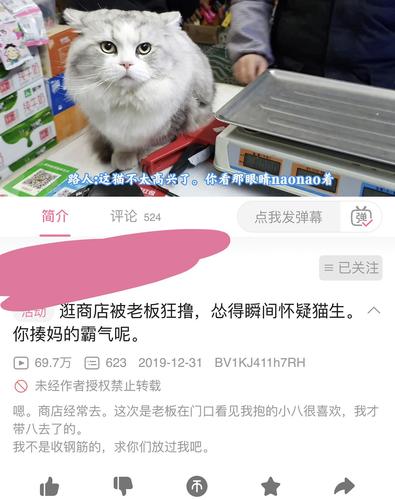 b站著名养狗和猫的up主是？（推荐养狗）