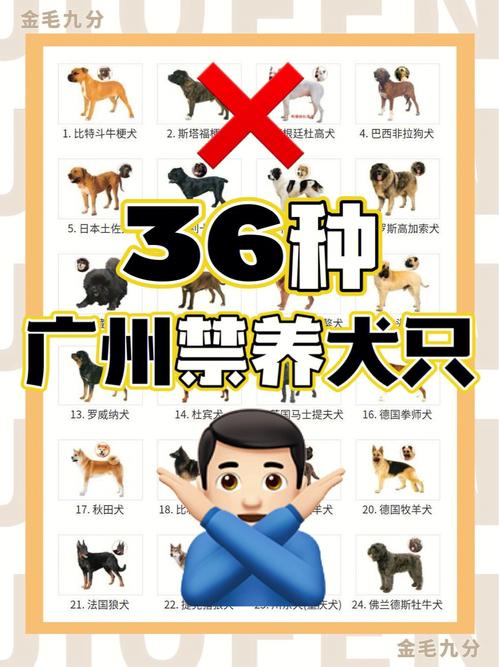 广州禁养犬品种？（广州养什么狗）