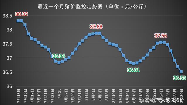 再过10天猪肉会涨价吗？（预测明天生猪价格走势）