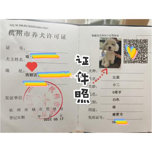 商丘狗证怎么办理？（商丘养狗基地）