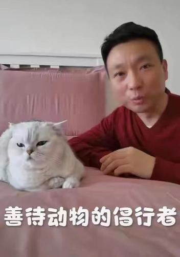 康辉兄弟几个？（央视云养猫）