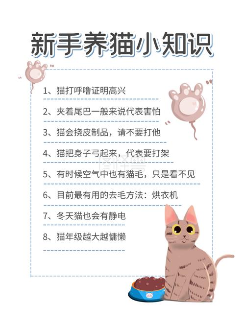 养猫步骤？（刚养猫怎么）