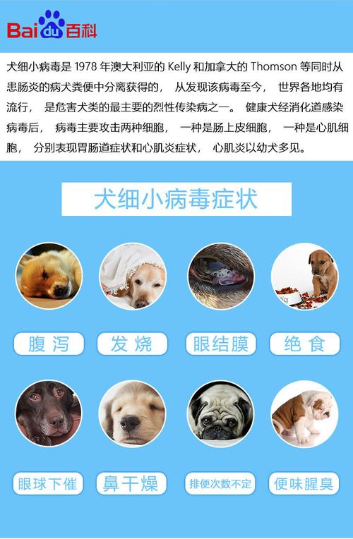 犬瘟病毒能存活多久？用什么消毒最好？（狗瘟多久可以再养狗）