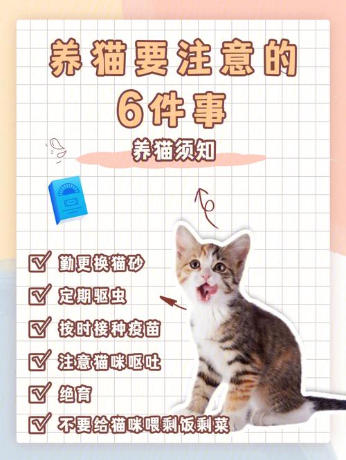 养猫的好处？（养猫好处多）