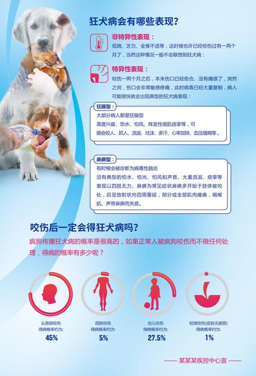 如果我们要饲养宠物，怎样预防狂犬病？（养狗厂房建设图片）