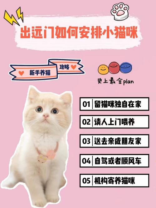 新手如何养猫？（如何对付养猫）