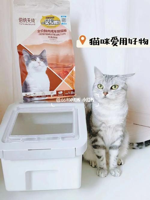 养猫怎么保持家里干净？（透明养猫包）