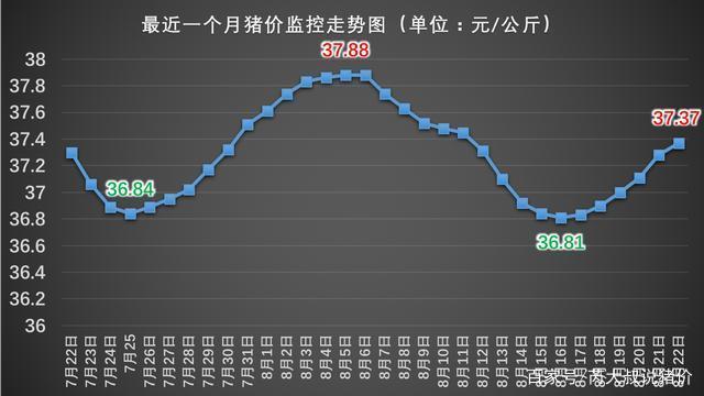 生猪价什么时候上涨？（中国猪价网今日生猪价）