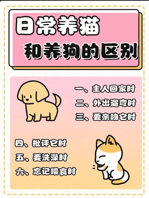 养狗养猫挣钱吗？（养猫分红版）