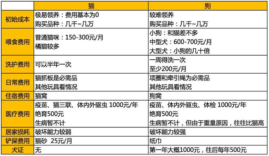 虎斑猫一个月花销？（养猫花销列表）