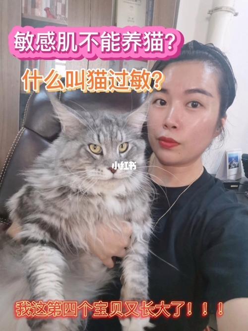 对猫过敏的人可以在室外养猫吗？（在室外养猫）