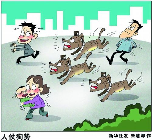 楼上狗狗严重扰民怎么办？（楼下养狗扰民怎么办）