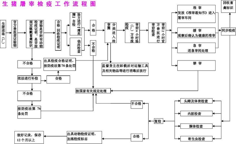 猪人工查情全流程？（查生猪）