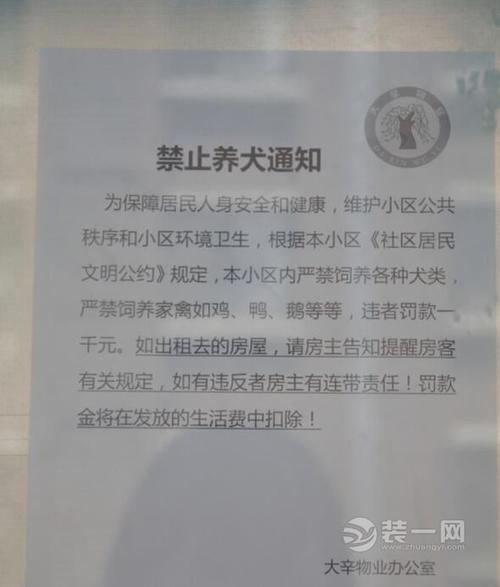 济南市对违规养狗的举报电话？（济南养狗需要什么手续）