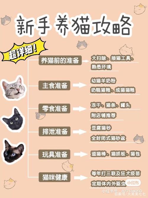 养猫的步骤和注意事项？（购买养猫礼包）