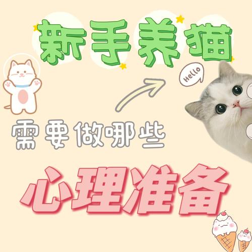 养猫前要做的心理建设？（养猫缺关爱）