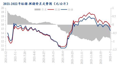 2024至2025年猪价预测？（生猪下半年走势图）