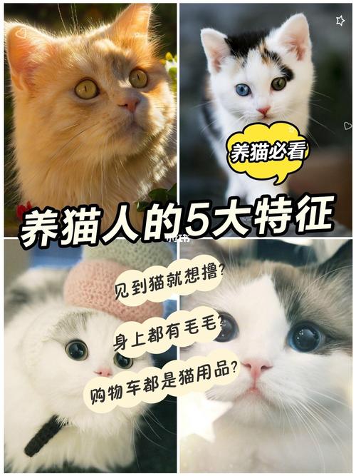 养猫要办理什么许可证吗？（代养猫协议）