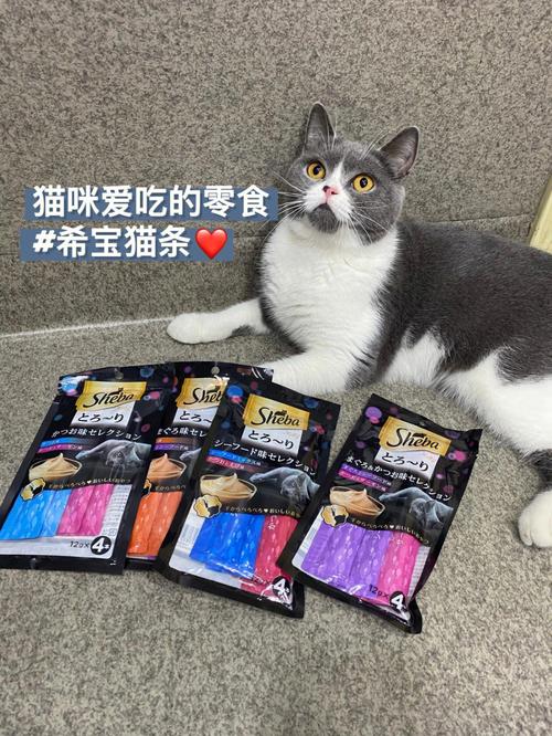 口碑最好的六种猫零食？（奶酪宠物养猫）